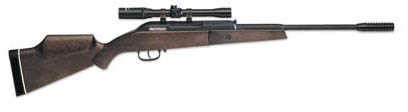 Beeman Guardian 177 Caliber W 4X20 Scope