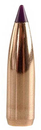 Nosler 6MM 80 Grains Ballistic Tip .243 Varmint 100/Bx Bullets