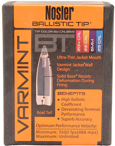 Nosler 6MM/.243 70 Grains Ballistic Tip Varmint 100/Box Bullets