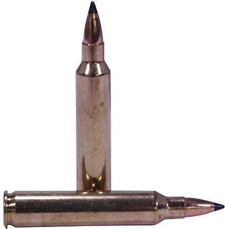204 Ruger 32 Grain Ballistic Tip Rounds Nosler Ammunition