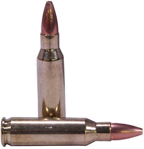 221 Rem Fireball 40 Grain Hollow Point 20 Rounds Nosler Ammunition
