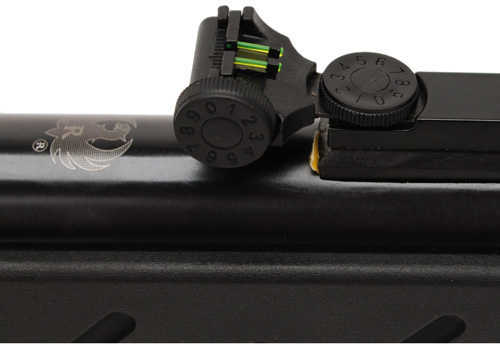 Ruger® 2244216 Talon Air Rifle Combo .177 Black With 4X32 Scope Airgun Md: