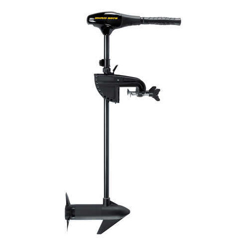 Minn Kota Endura C2 Motor Transom Mount 36In 40Lb 12V