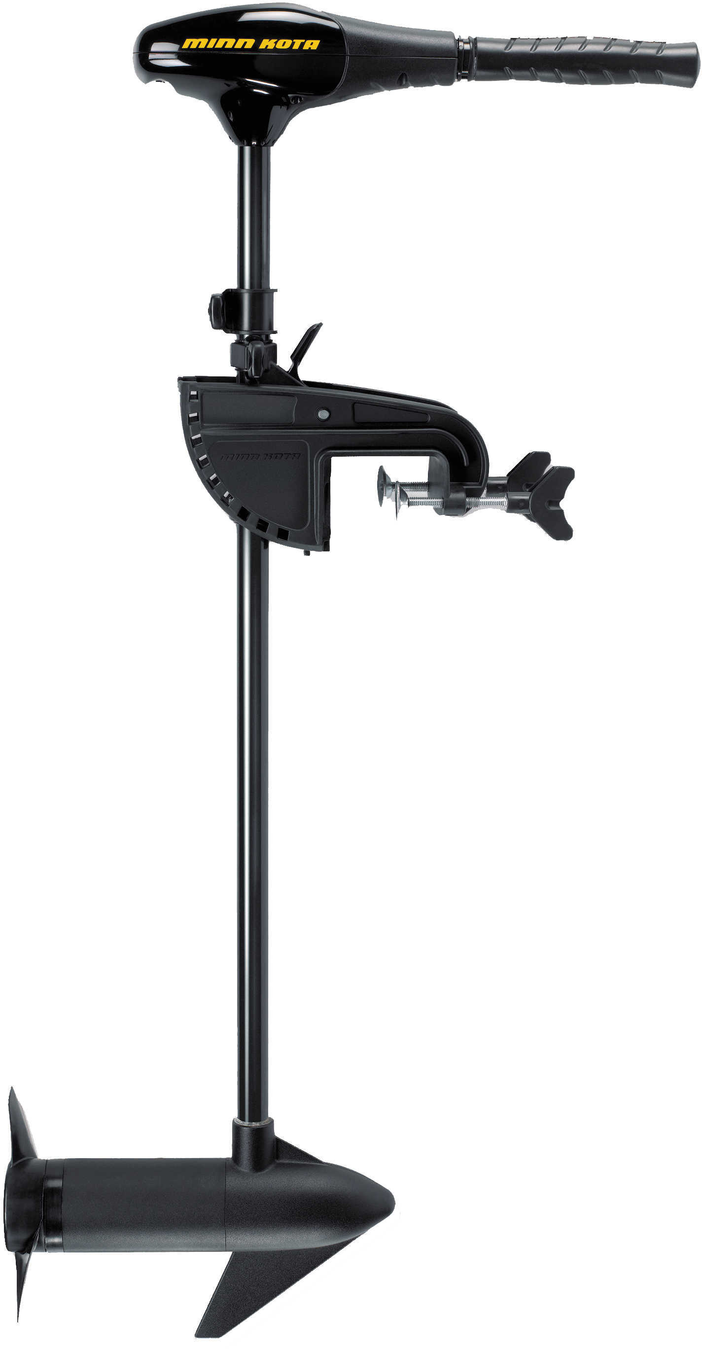 Minn Kota Endura C2 Motor Transom Mount 36In 40Lb 12V