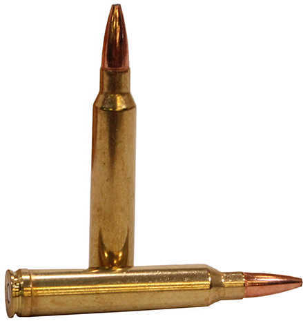 300 Win Mag 165 Grain Soft Point 20 Rounds Federal Ammunition 300 Winchester Magnum