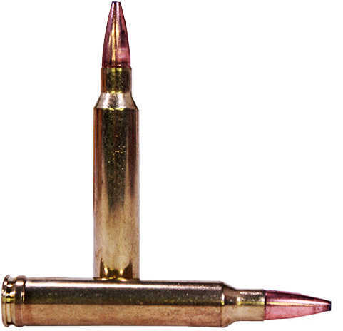 300 Win Mag 180 Grain Soft Point 20 Rounds Federal Ammunition 300 Winchester Magnum
