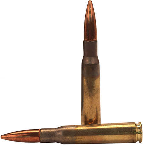 50 BMG 660 Grain Full Metal Jacket 10 Rounds Federal Ammunition