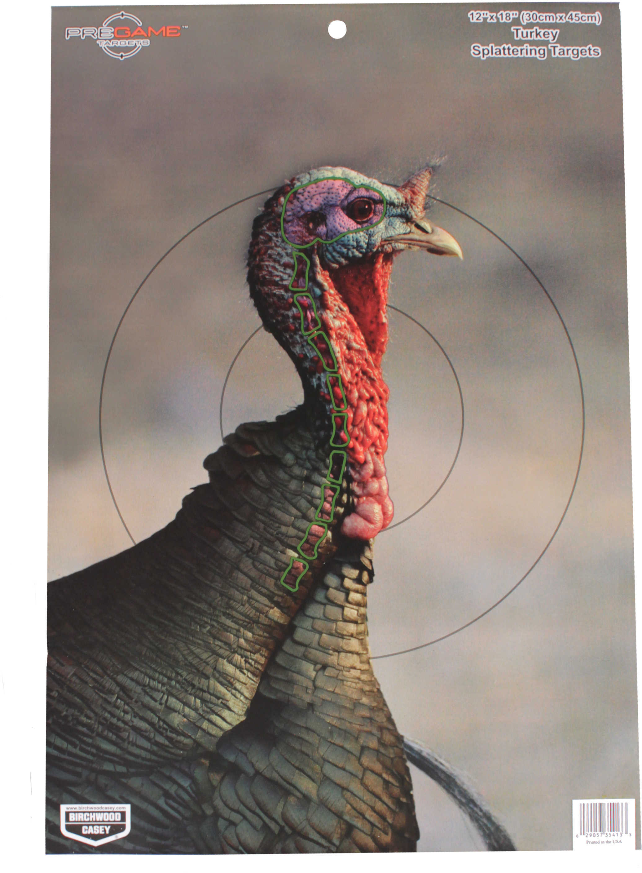 B Casey PREGAME Turkey 12"X18" 8Pk