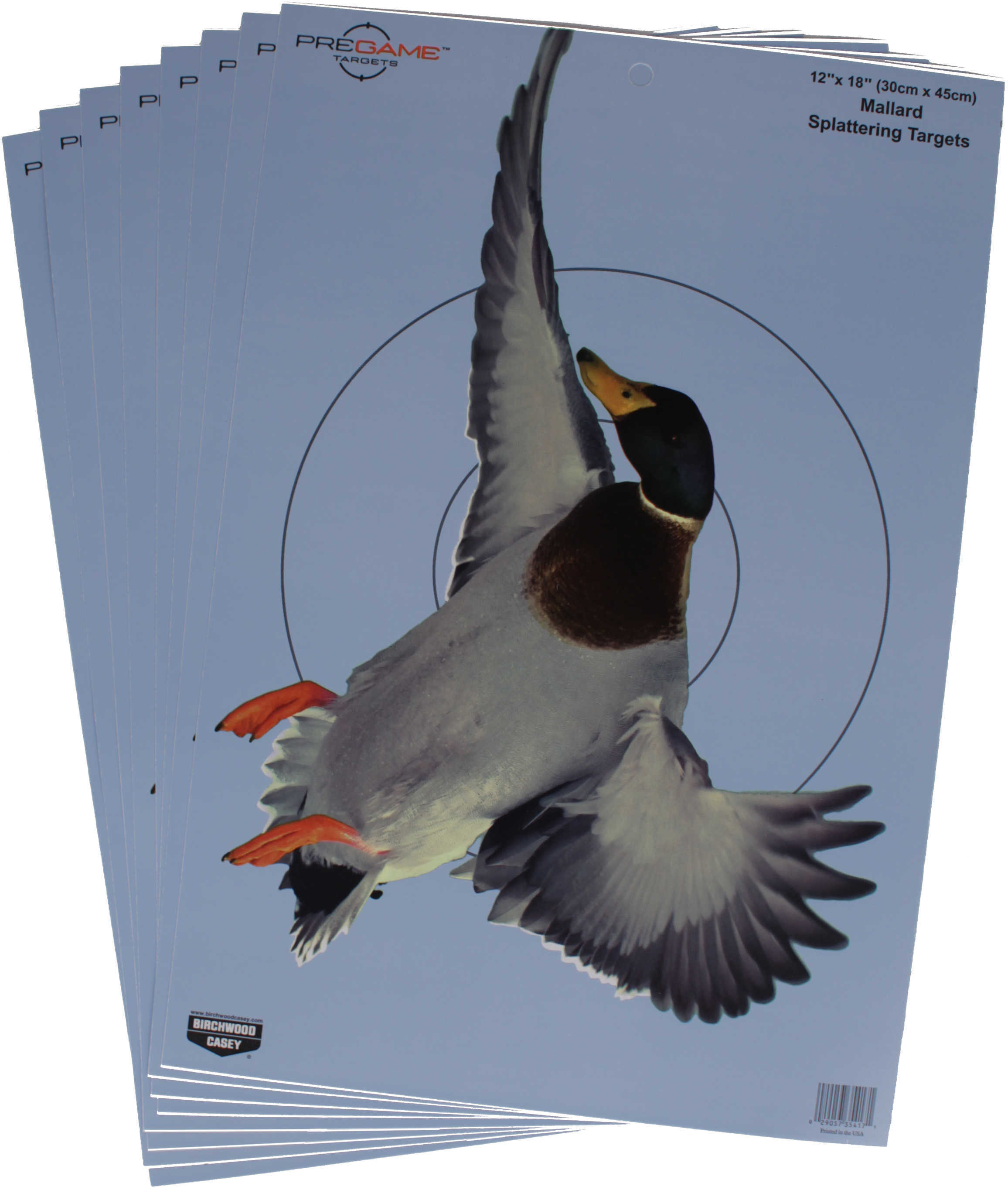 B Casey PREGAME Duck 12"X18" 8Pk
