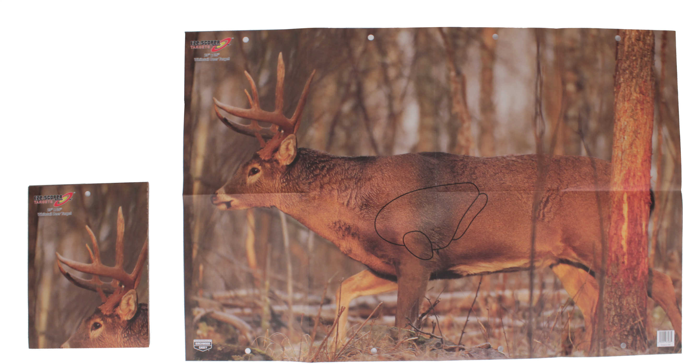 B Casey EZ Score Deer 23"X35" 2Pk