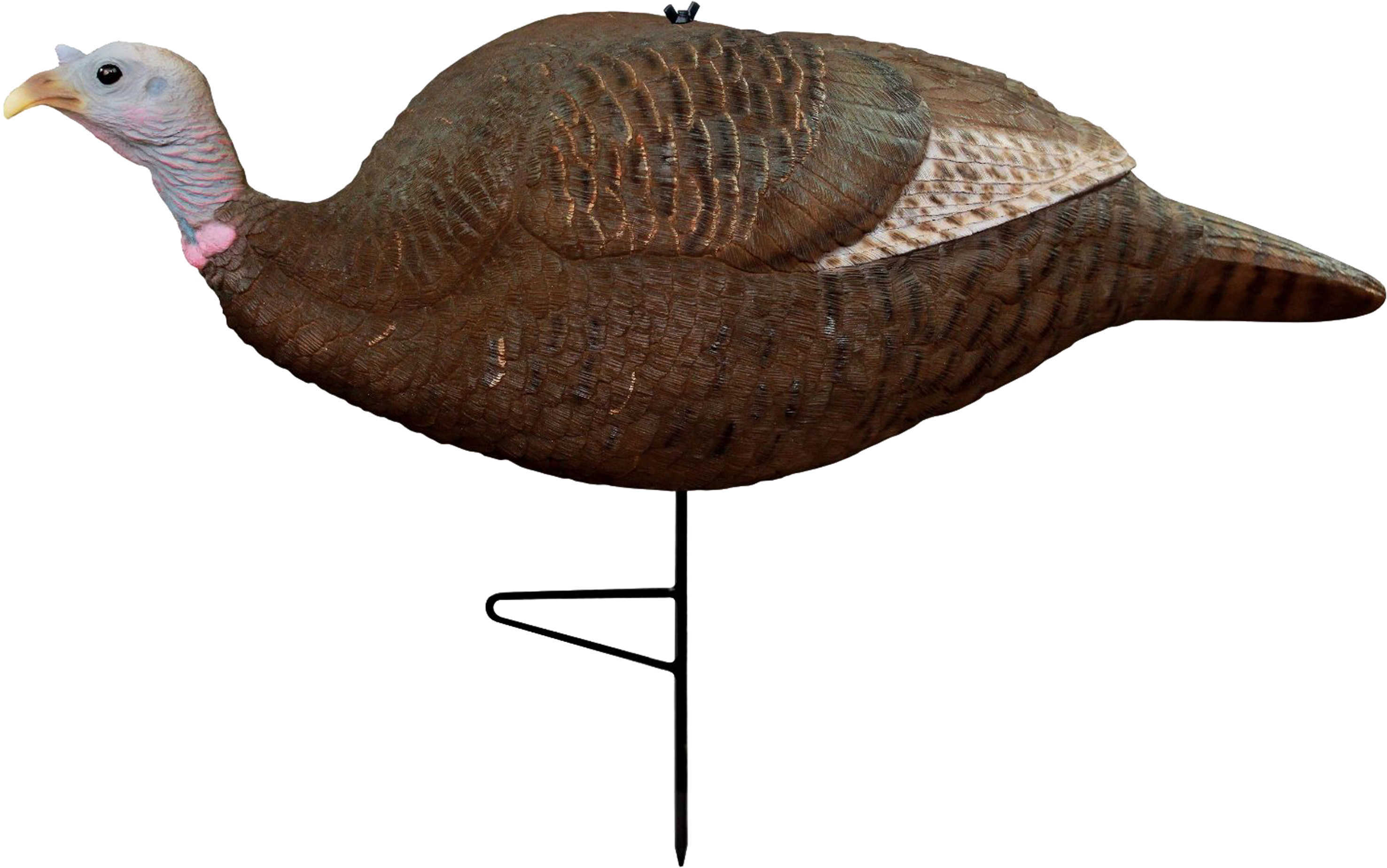 Prim GOBBSTOPPER Submissive Hen Dec