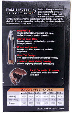 25-06 Rem 115 Grain Ballistic Tip 20 Rounds Winchester Ammunition Remington