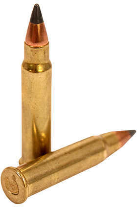 17 HMR Grain Ballistic Tip 200 Rounds CCI Ammunition