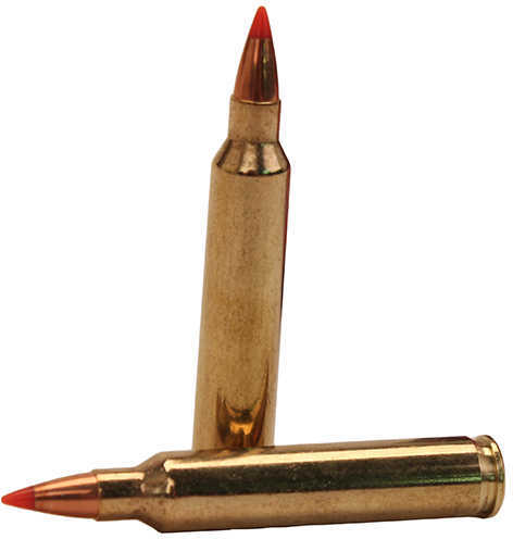 204 Ruger 32 Grain V-Max Rounds Hornady Ammunition