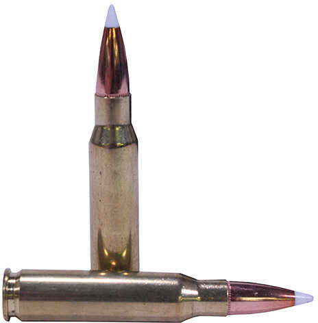 NOSLER TGA 308 165G ABSP 20BX
