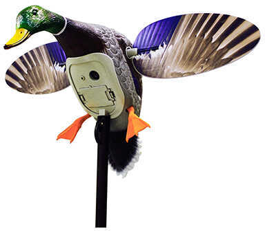 Mojo HW2460 Elite Series King Mallard Decoy