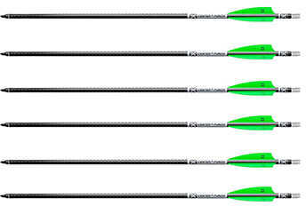 EVO-X Center Punch Carbon Arrows 20 in. 6 pk. Model: HEA-730.6