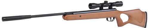 Benjamin Titan Np Rifle 4X32 Scope