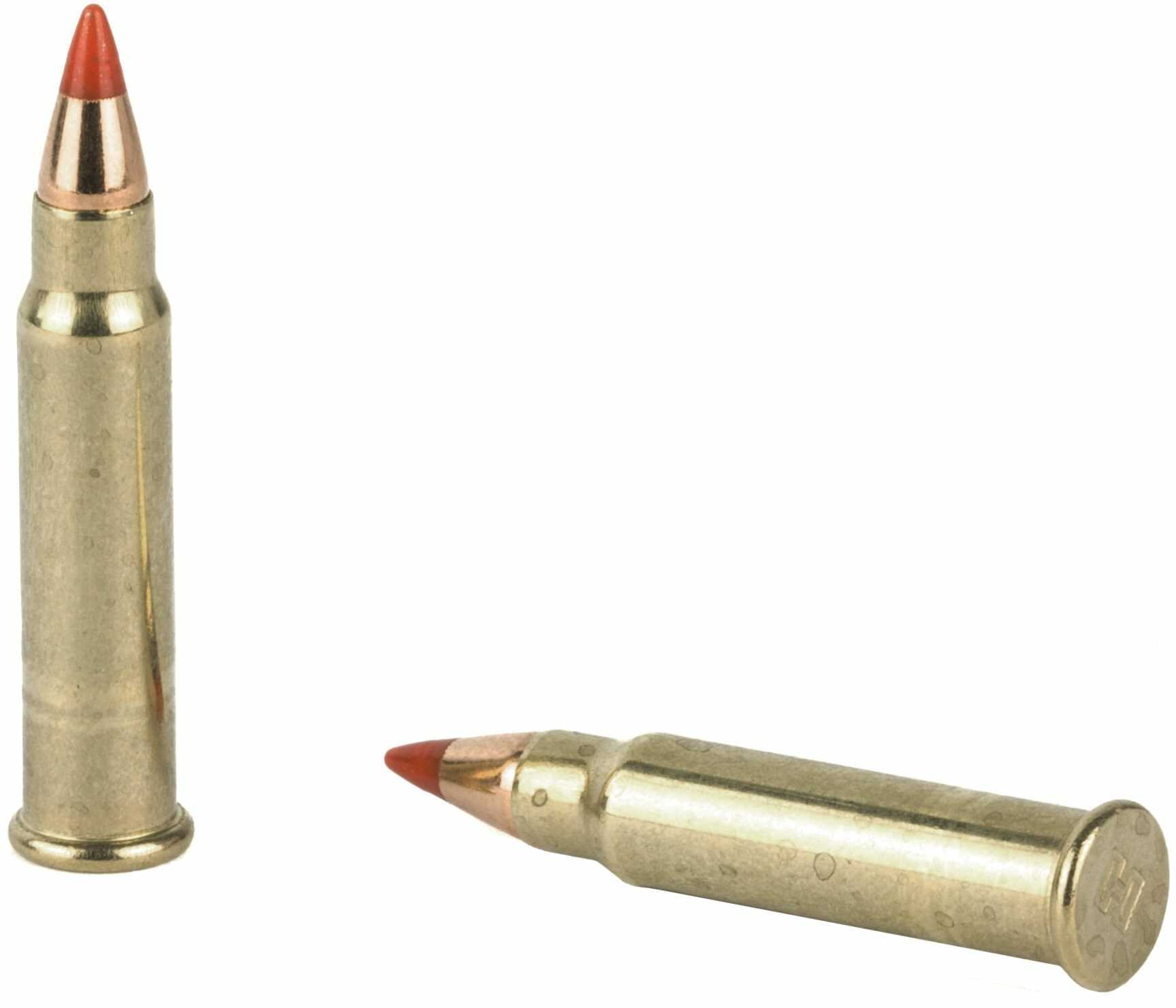 17 HMR Grain Ballistic Tip 50 Rounds Hornady Ammunition