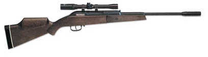 Beeman Guardian Air Rifle W/ 4X20 Scope