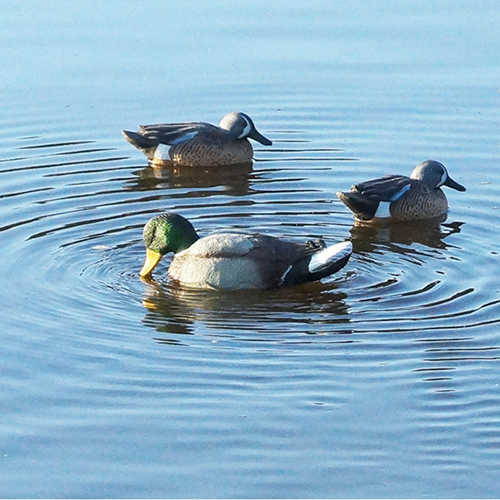 MOJO Rippler Mallard Drake Decoy