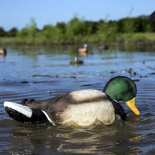 Mojo HW2443 Rippler Decoy Mallard