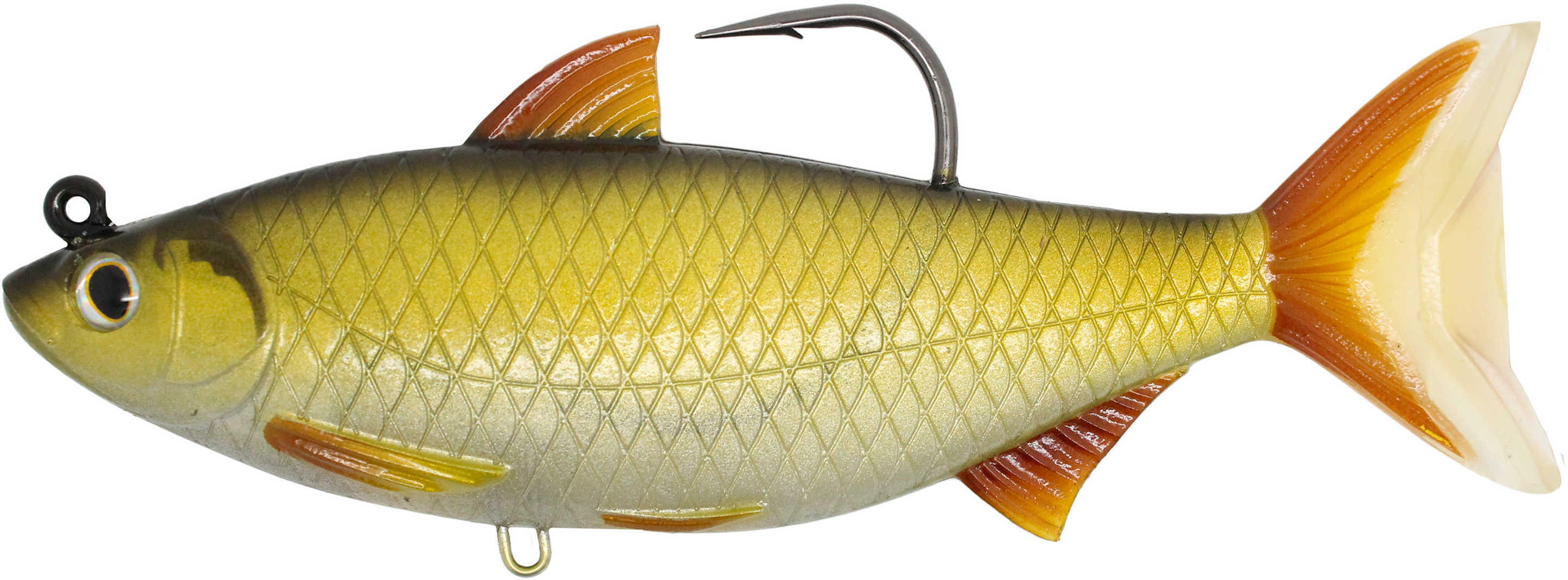 LT GOLD SHINR SWIMBAIT 5.5" GLD/BLK