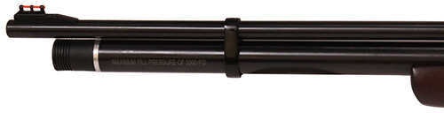 Beeman 1317 Chief Air Rifle Bolt .177 Pellet Black