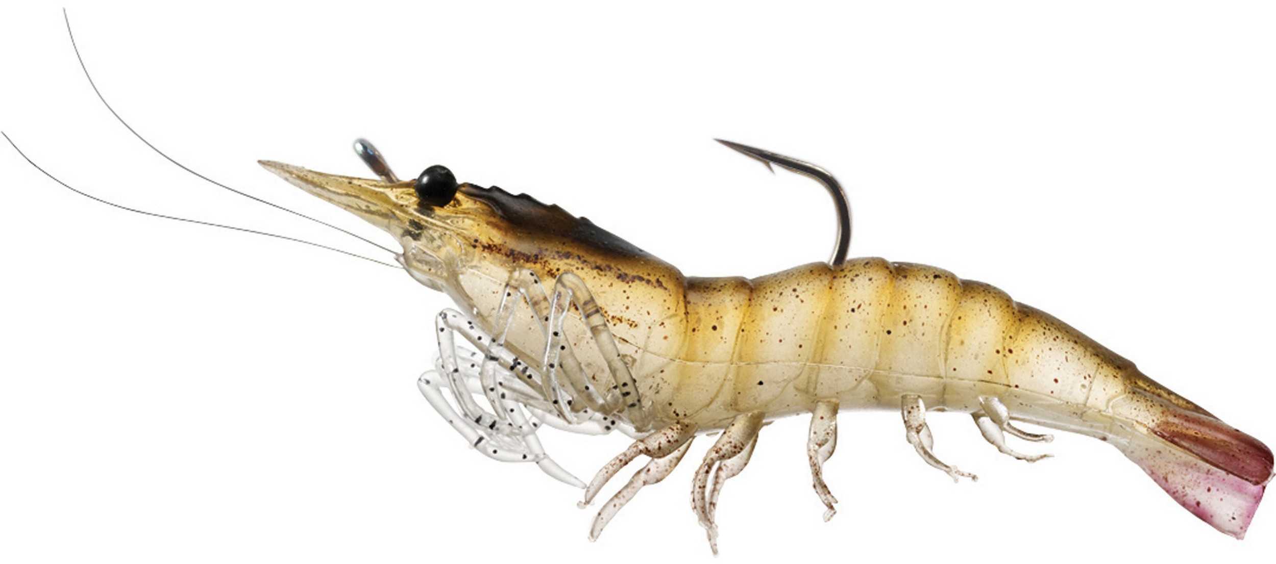 LT RIGGED SHRIMP 3" BROWN