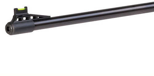 Crosman Vantage NP Air Rifle .22 Pellet 800FPS Break Barrel Wood Stock Single Shot CVAN82W