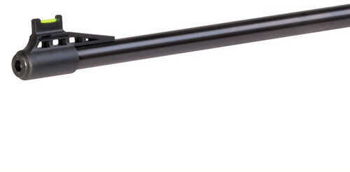Crosman Vantage NP Air Rifle .22 Pellet 800FPS Break Barrel Wood Stock Single Shot CVAN82W