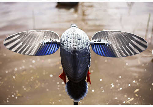 MOJO Es - King Mallard