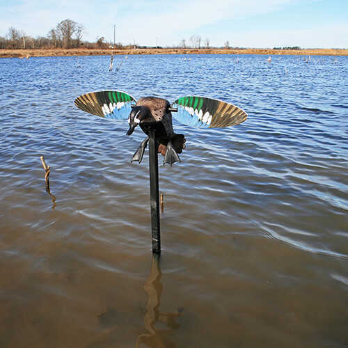 MOJO Elite Series Spinning Wing Decoy - Blue Teal