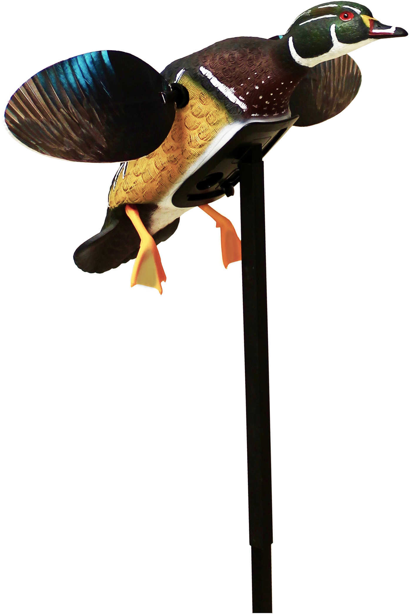 Mojo HW2472 Elite Series Woody Motion Decoy W/Stand