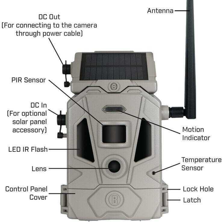 Bus CELLUCORE 20 Solar Dual Sim Tan