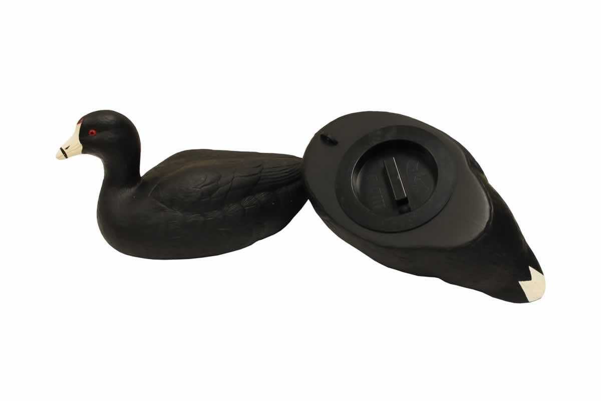 Mojo Coot Confidence Decoys 6/ct