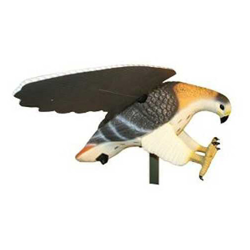 Mojo Hawk Decoy Md: HW4310