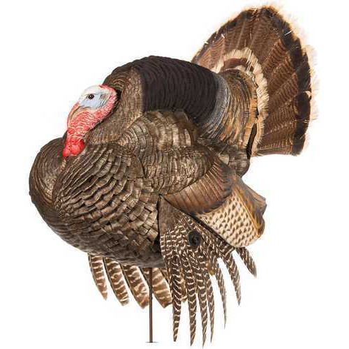 Dave Smith Decoy Strutter Model: STR