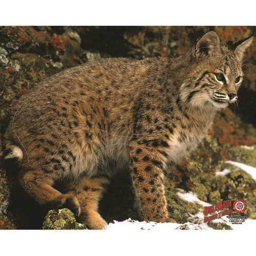 Duramesh Archery Target Bobcat 25 in. x 32 in. Model: DM205