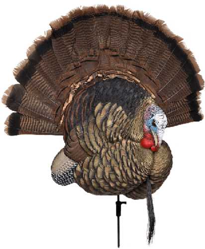 Avian X Trophy Tom Turkey Decoy