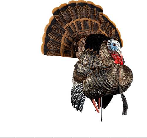 Avian X HDR Strutter Turkey Decoy