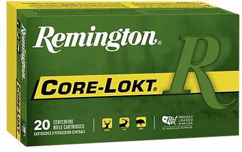 REM 450BM 300GR CORELOKT 20BX
