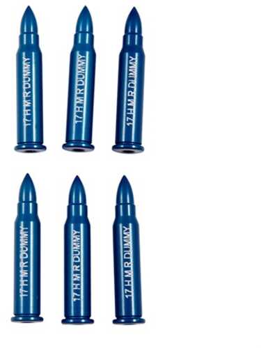 Rimfire Dummy ROUNDS