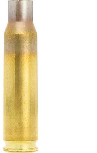 308 Winchester Brass Case