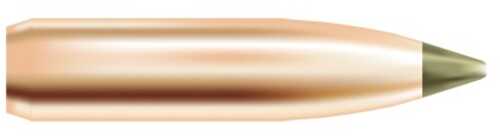 Ballistic Tip Lead-Free Bullets