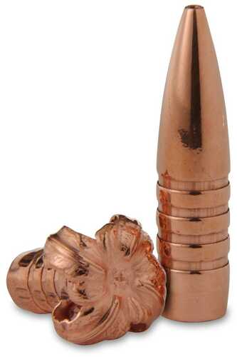 Barnes TSX Bullets .458 Cal .458" 300 Gr FB 20/ct