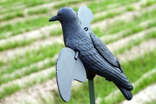 MOJO Motion Decoy Crow