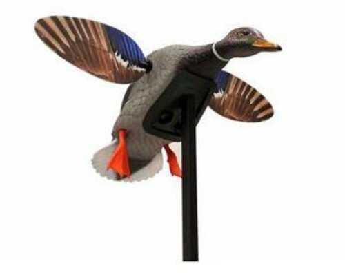 MOJO Elite Series Spinning Wing Decoy - Mini Mallard Drake With Remote