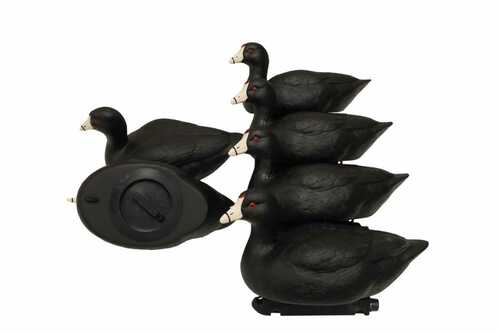 Mojo Coot Confidence Decoys 6/ct