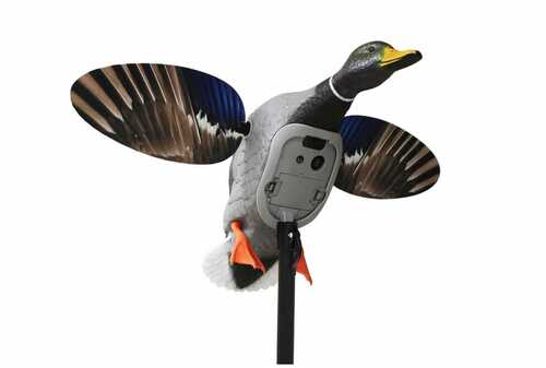 Mojo Mallard ELite Series King With 6V Li-Ion Battery